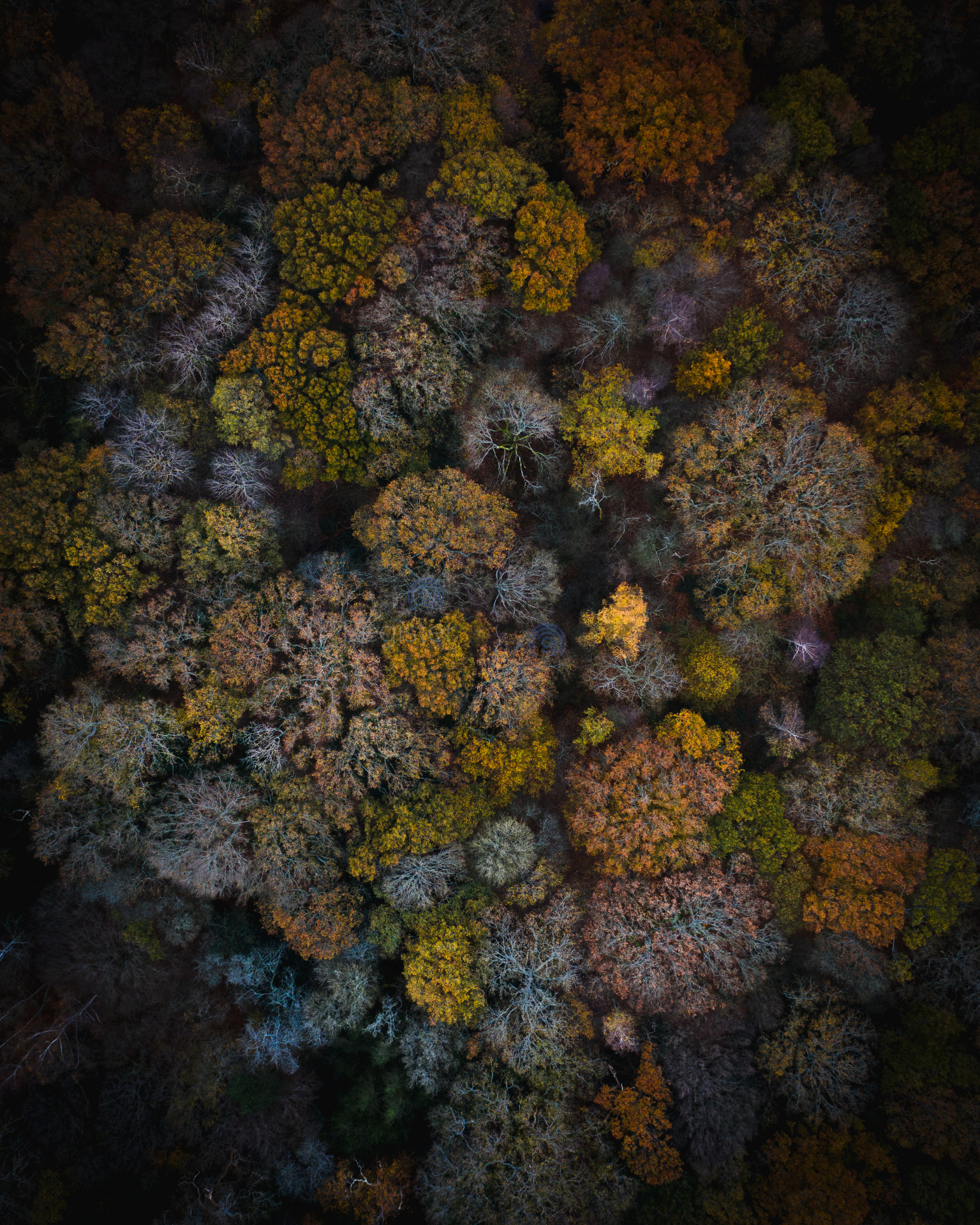 Inspired by Arctic LTD