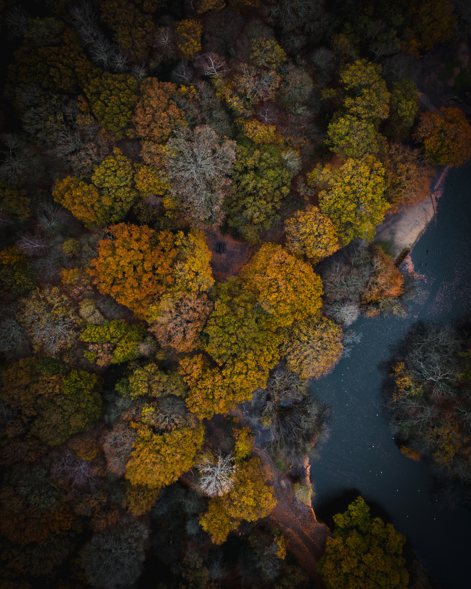 Inspired by Arctic LTD