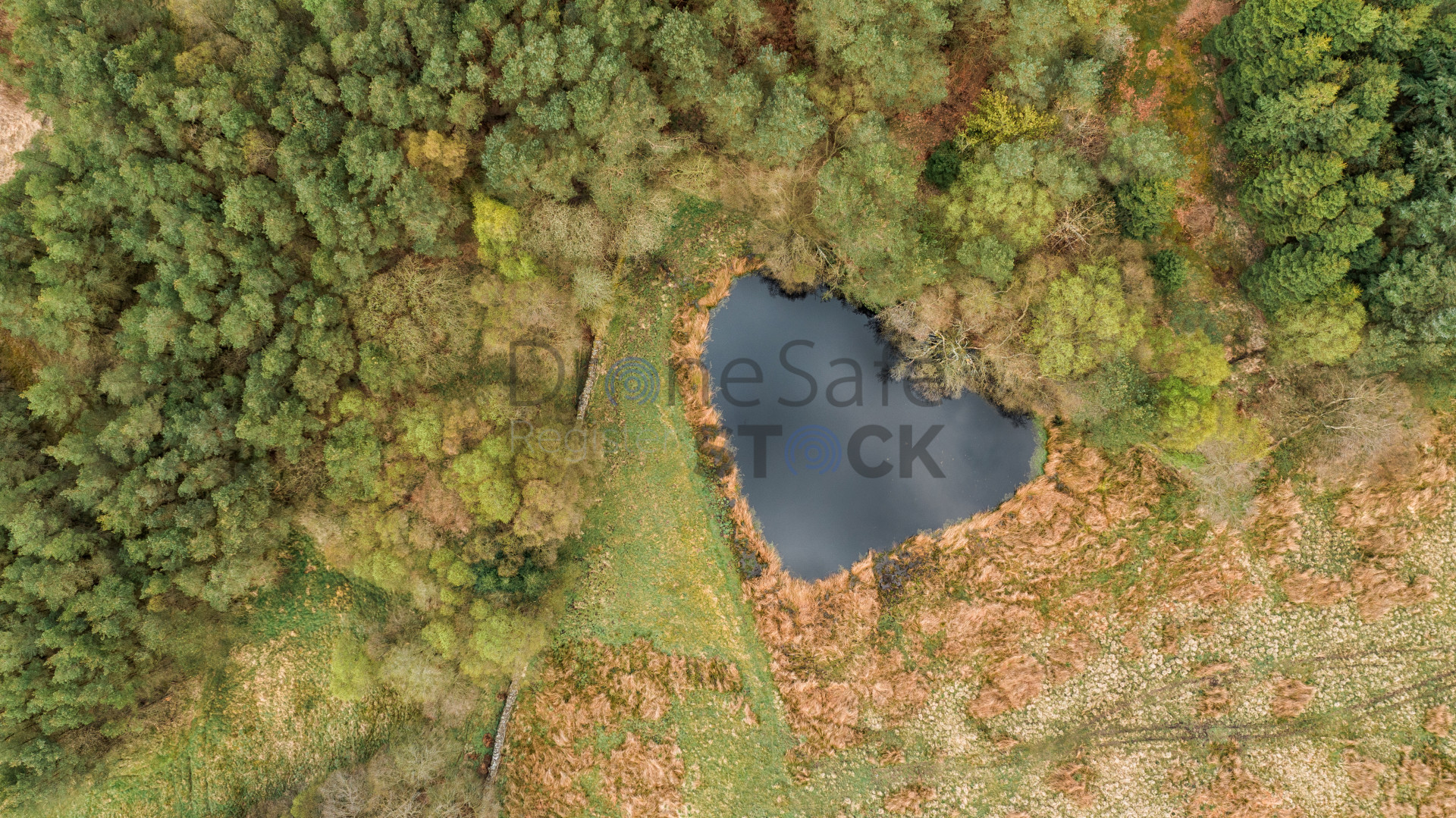 Diane Makepeace Aerial & Media Services