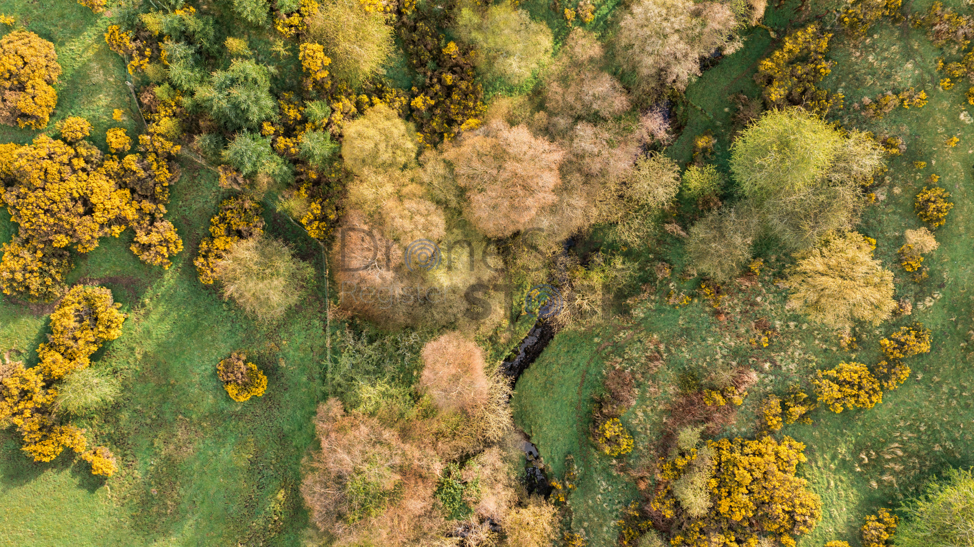 Diane Makepeace Aerial & Media Services