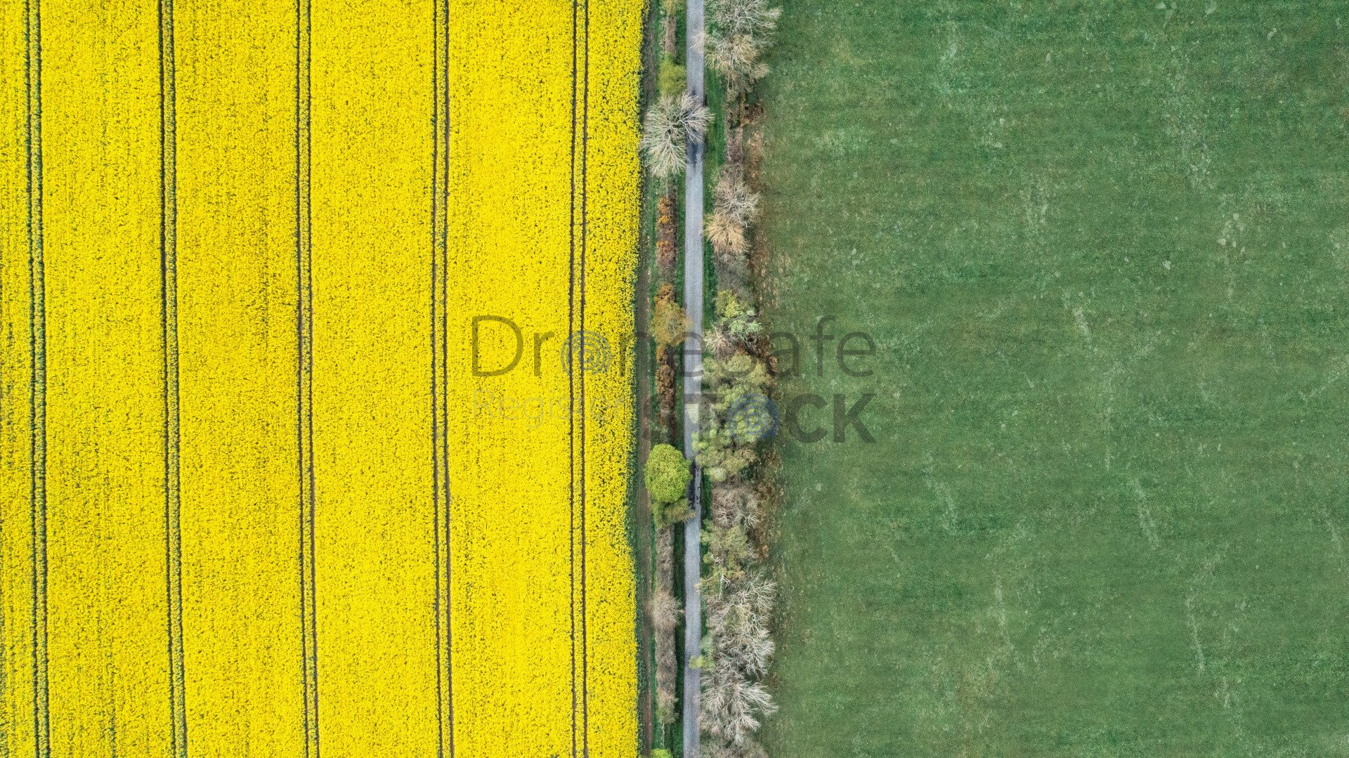 Diane Makepeace Aerial & Media Services