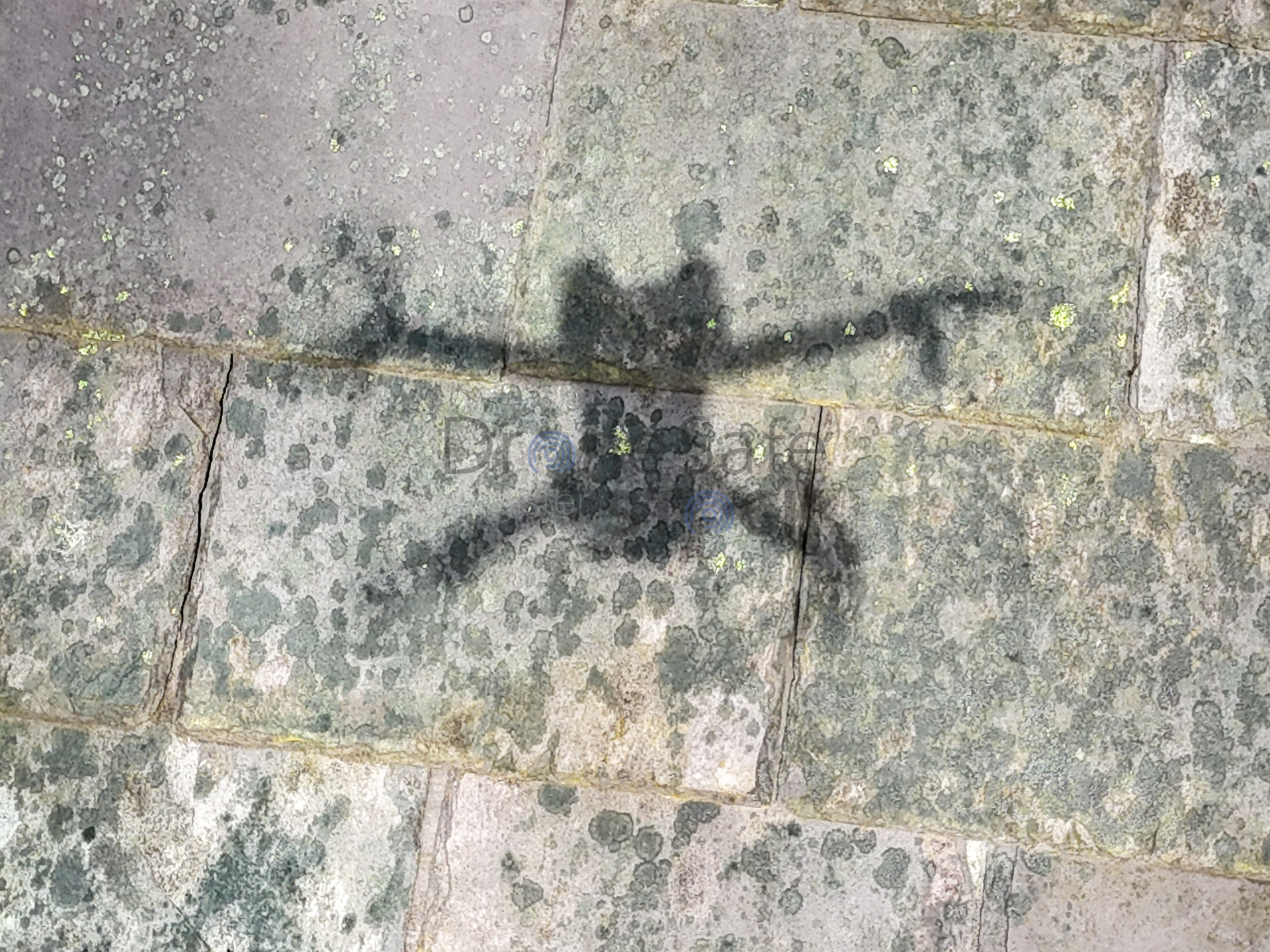 Alan Grant Associates