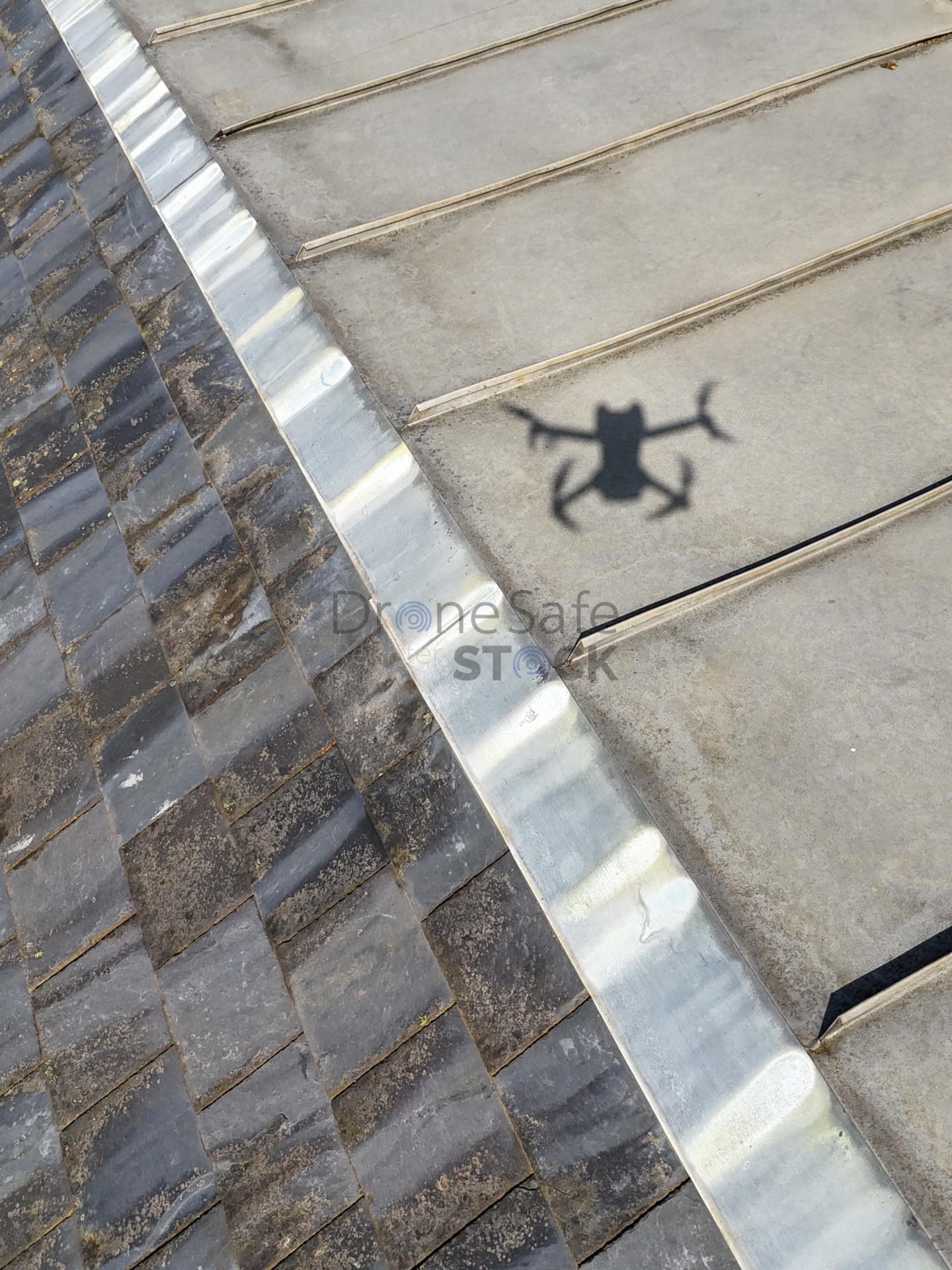 Alan Grant Associates