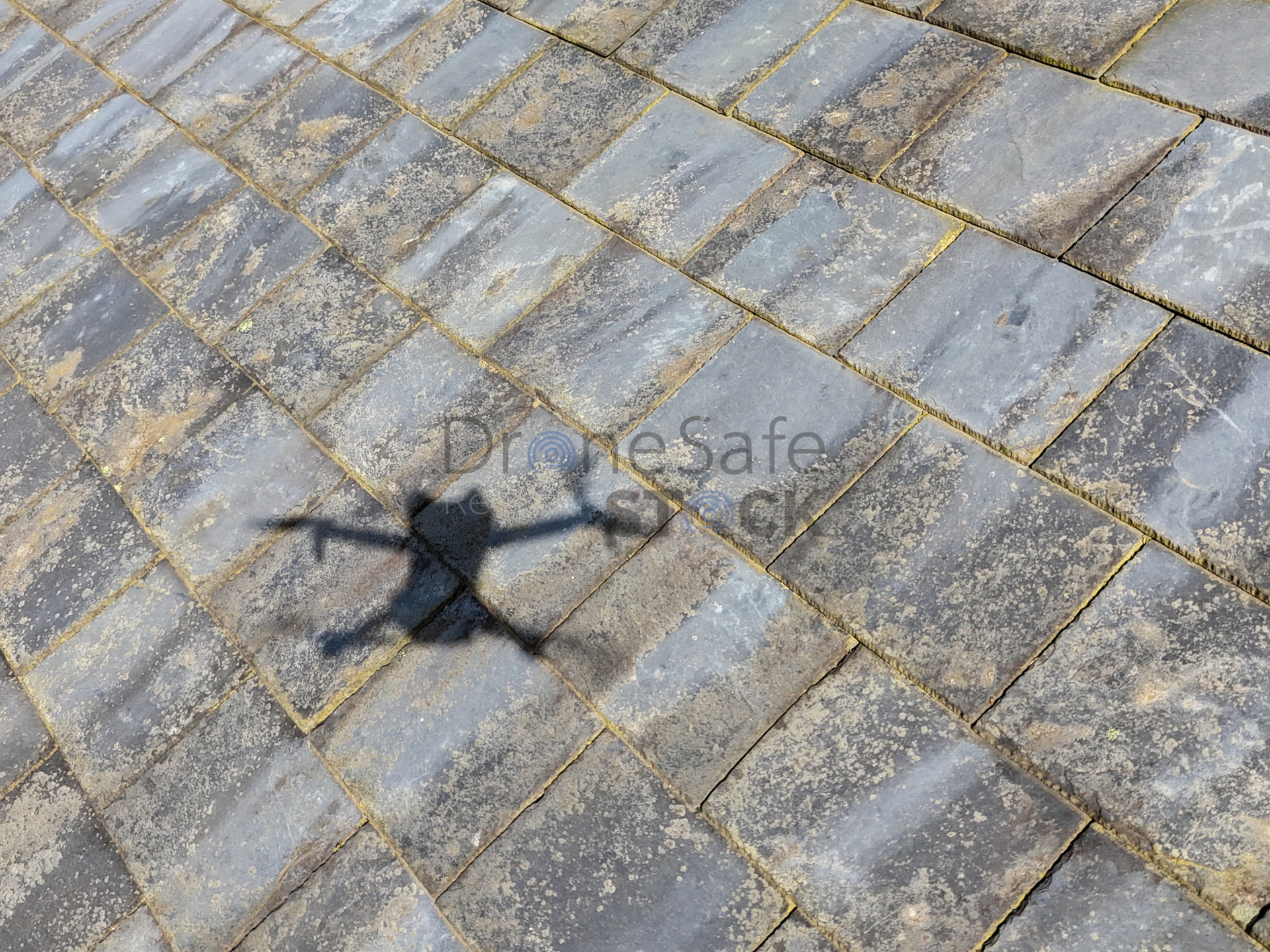 Alan Grant Associates