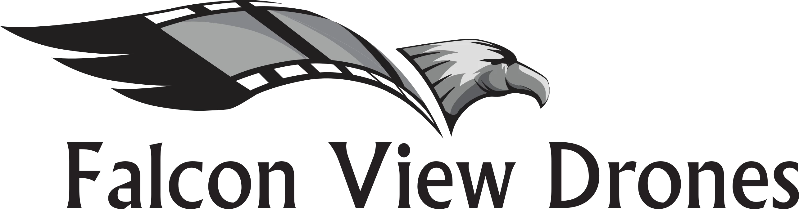 Falcon View Drones
